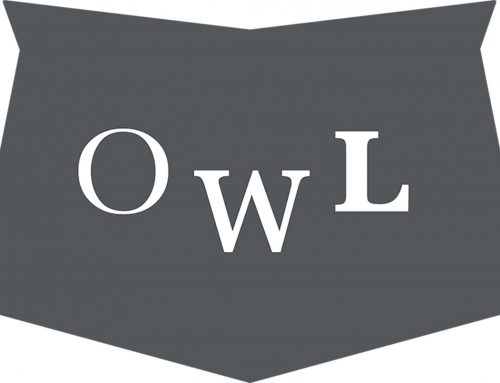 Owl Studio